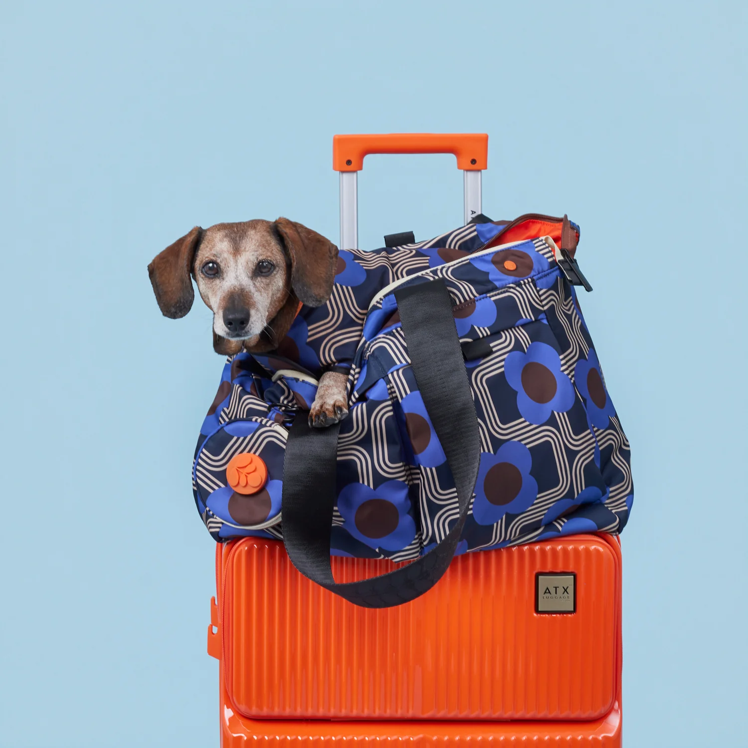 Dog Coat - Electric Flora Cobalt - Image 2