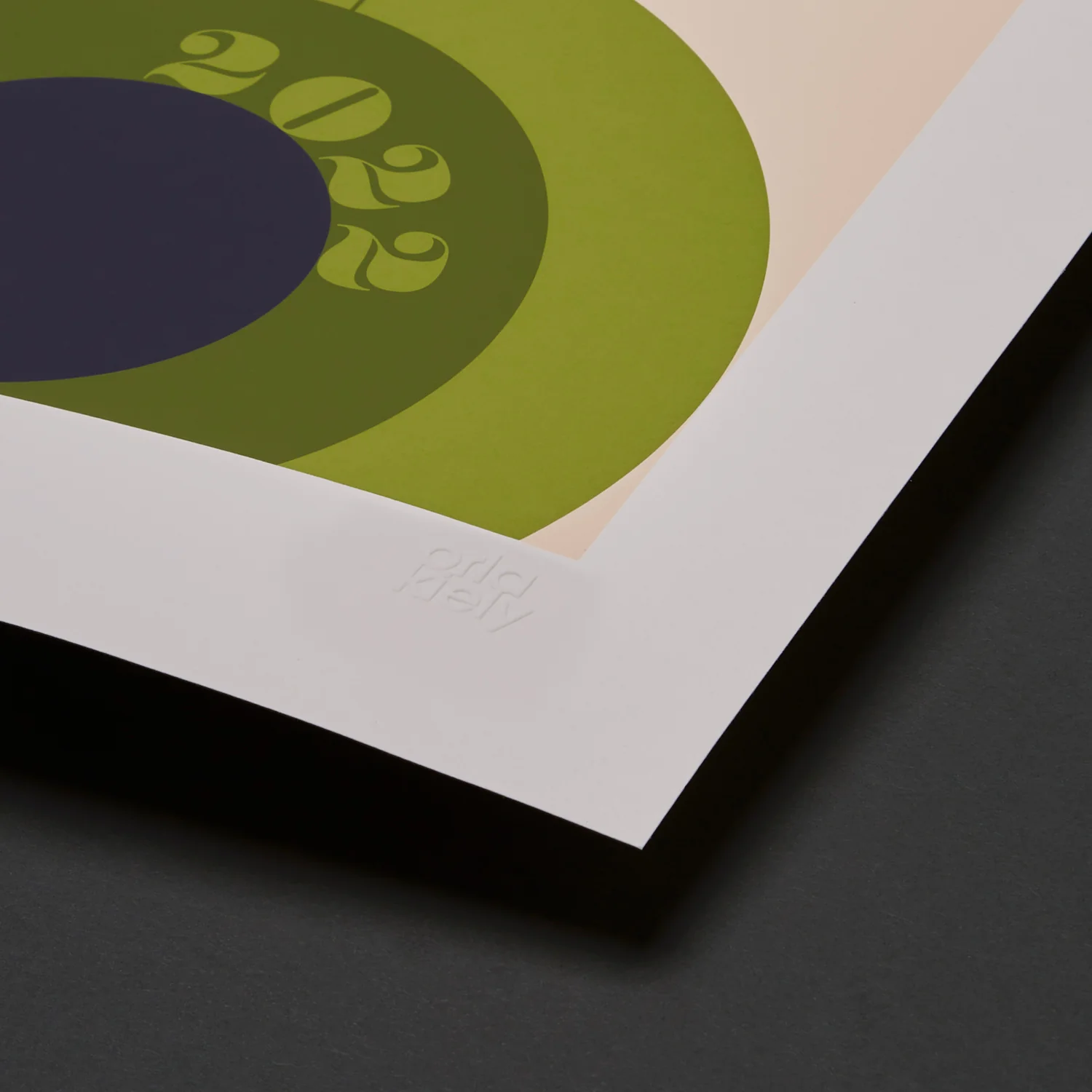 Screen Printed Artwork - Earth Day - Image 3